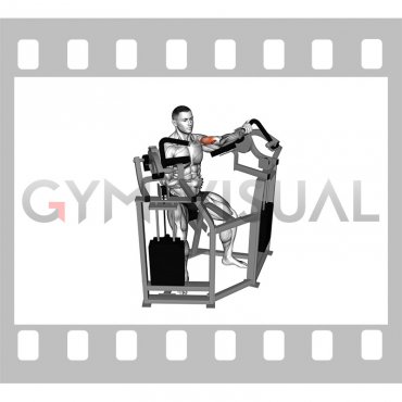 Lever Single Arm Bicep Curl