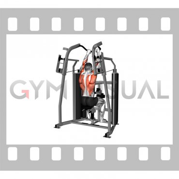 Lever Stack Seated Lat Pulldown (male)