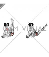 Dumbbell Over the Chest Lying Abduction (male)