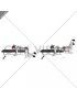Dumbbell Frog Reverse Hyperextension (on a bench) (female)