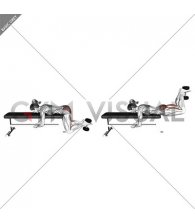Dumbbell Frog Reverse Hyperextension (on a bench) (female)