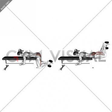 Dumbbell Frog Reverse Hyperextension (on a bench) (female)
