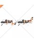 Dumbbell Frog Reverse Hyperextension (on a bench) (female)