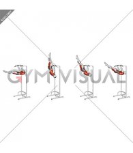 Negative Front Lever Raise (male)