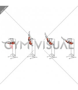 Negative Front Lever Raise (male)