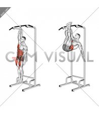 Single Arm Hanging Toes to Bar