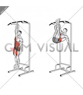 Single Arm Hanging Toes to Bar