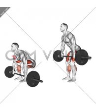 Barbell 2 3 Deadlift