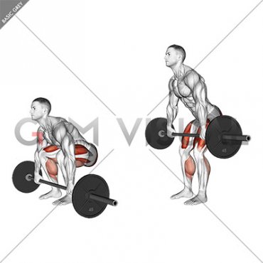 Barbell 2 3 Deadlift