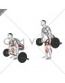 Barbell 2 3 Deadlift