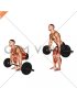 Barbell 2 3 Deadlift
