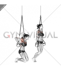 Suspension Self assisted Chest Dip