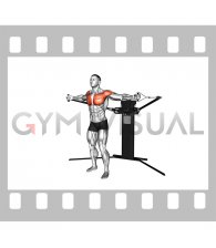 Cable Standing Fly (VERSION 3)