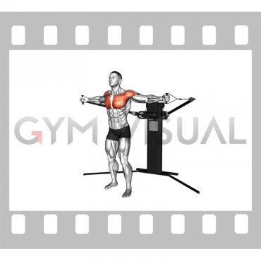 Cable Standing Fly (VERSION 3)
