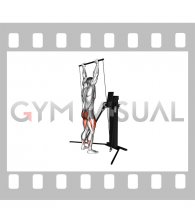 Cable Overhead Squat (VERSION 3)
