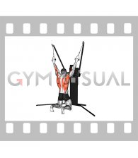 Cable Kneeling Pulldown (VERSION 3)