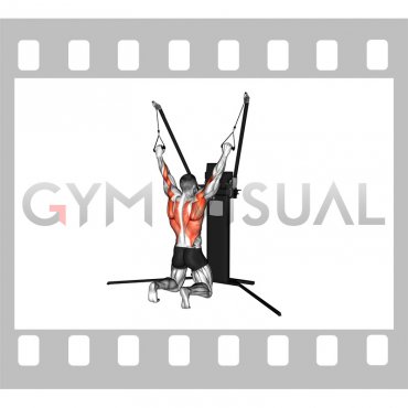 Cable Kneeling Pulldown (VERSION 3)
