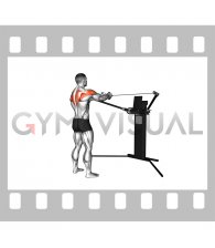 Cable Standing Reverse Fly (VERSION 3)