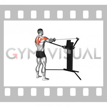 Cable Standing Reverse Fly (VERSION 3)