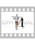 Cable Lateral Lunge (VERSION 3)