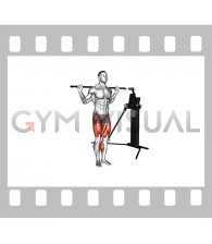 Cable Lateral Lunge (VERSION 3)