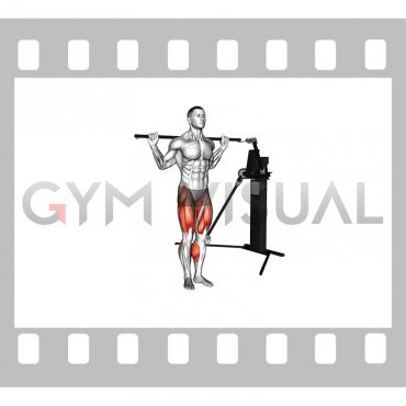 Cable Lateral Lunge (VERSION 3)