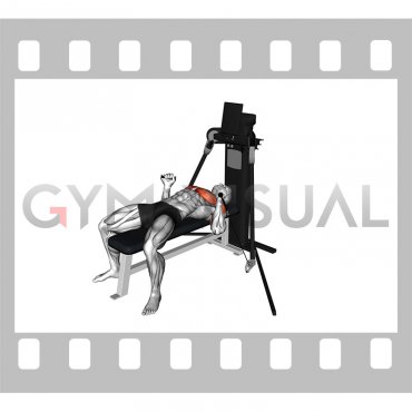 Cable Bench Press (VERSION 3)