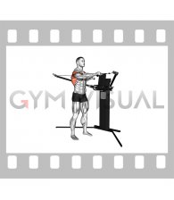 Cable Standing Push Pull (VERSION 3)