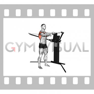 Cable Standing Push Pull (VERSION 3)