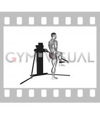 Cable Standing Hip Extension (VERSION 3)