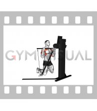 Cable Kneeling Military Press (VERSION 3)
