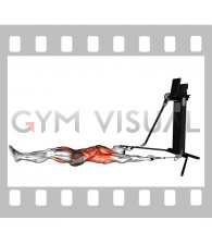 Cable Lying Alternating Bent Leg Jackknife (VERSION 3)