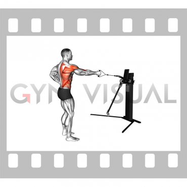 Cable Single Arm Row with Rotation (VERSION 3)