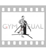 Cable Standing Hip Flexion (VERSION 3)
