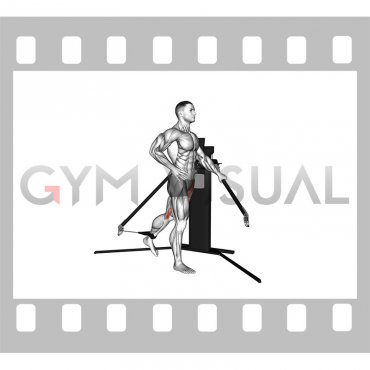 Cable Standing Hip Flexion (VERSION 3)