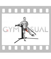 Cable Standing Hip Adduction (VERSION 3)