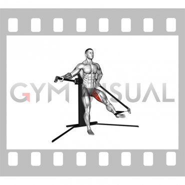 Cable Standing Hip Adduction (VERSION 3)