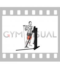 Cable Squat (VERSION 3)