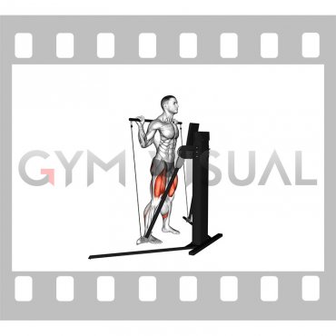 Cable Squat (VERSION 3)