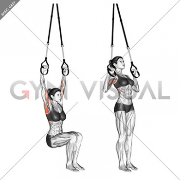 Suspension Self assisted Pull-up