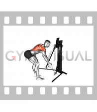 Cable Bent Over Single Arm Row (VERSION 3)