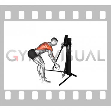 Cable Bent Over Single Arm Row (VERSION 3)