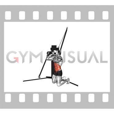 Cable Kneeling Crunch (VERSION 3)