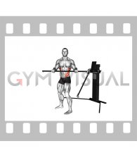 Cable Standing Torso Twist (VERSION 3)