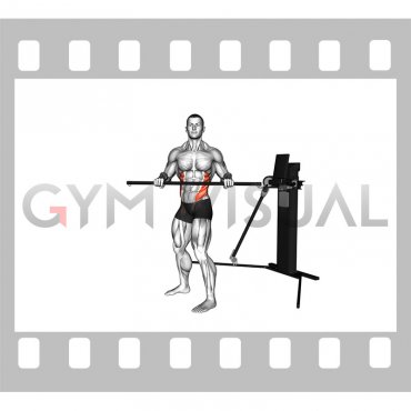 Cable Standing Torso Twist (VERSION 3)