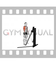 Cable Standing Biceps Curl to Arnold Press (VERSION 3)
