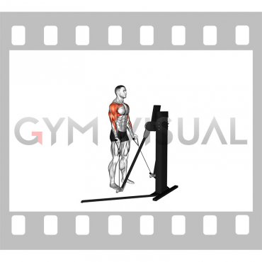 Cable Standing Biceps Curl to Arnold Press (VERSION 3)