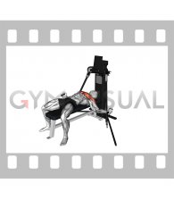 Cable Lying Fly (VERSION 3)