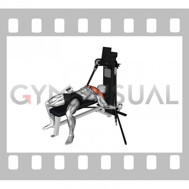 Cable Lying Fly (VERSION 3)