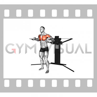 Cable Standing Alternating Diagonal Chest Press (VERSION 3)